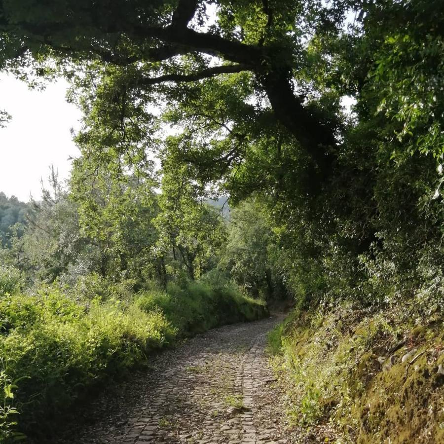 Pateo Das Rizas Eiras Esterno foto